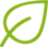 Icon Leaf